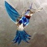 Glass Hummingbird